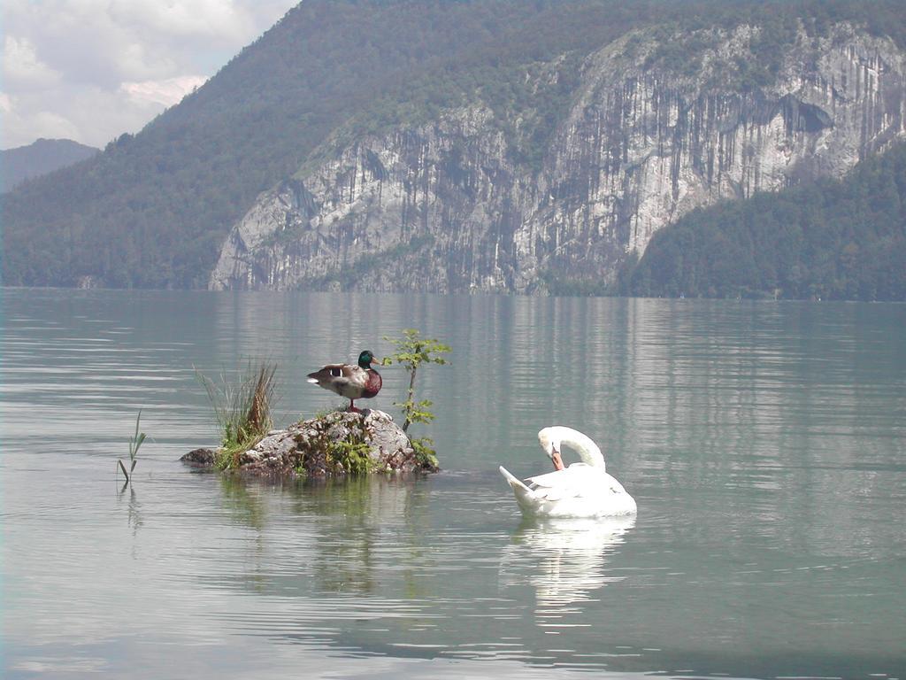 Landhaus Leitner Am Wolfgangsee Sankt Gilgen Extérieur photo